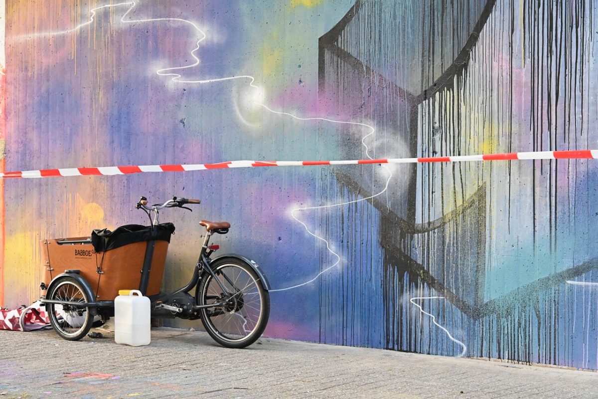 Fahrradanhänger oder Lastenrad - Welcher ist besser für den Familienausflug geeignet?